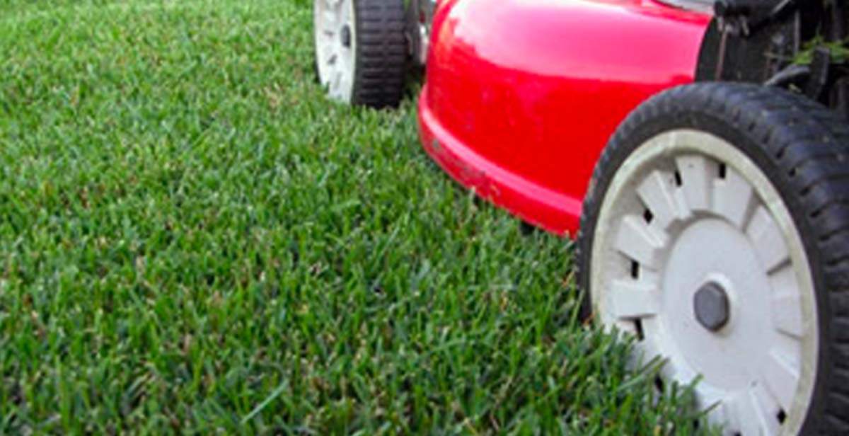 Summer Mowing Tip Green Meadow Lawn Spray