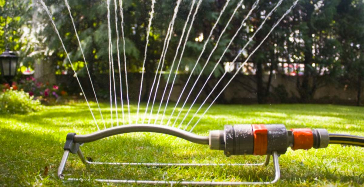 Are You Worried About Watering? Green Meadow Lawn Spray